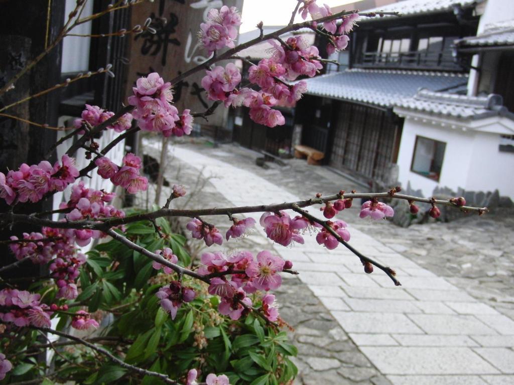 Tajimaya Nakatsugawa Exteriér fotografie